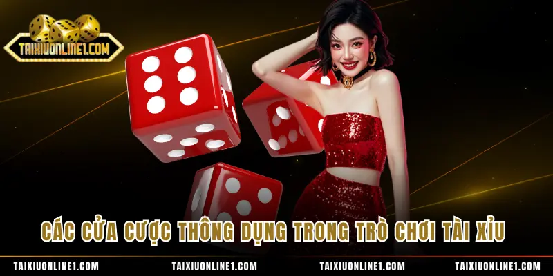 Các cửa cược thông dụng trong trò chơi tài xỉu