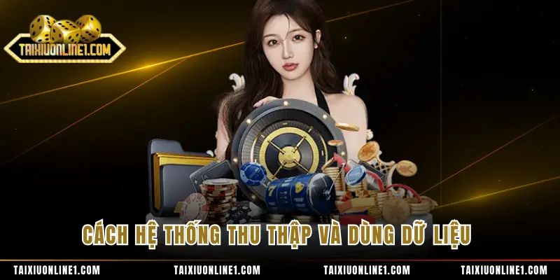 Cách hệ thống thu thập và dùng dữ liệu
