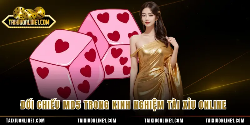 Đối chiếu MD5 trong kinh nghiệm tài xỉu online