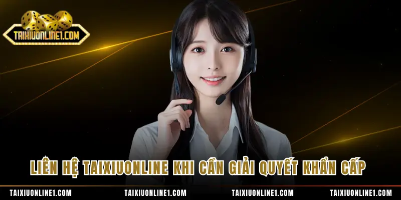 Liên hệ TAIXIUONLINE khi cần giải quyết khẩn cấp