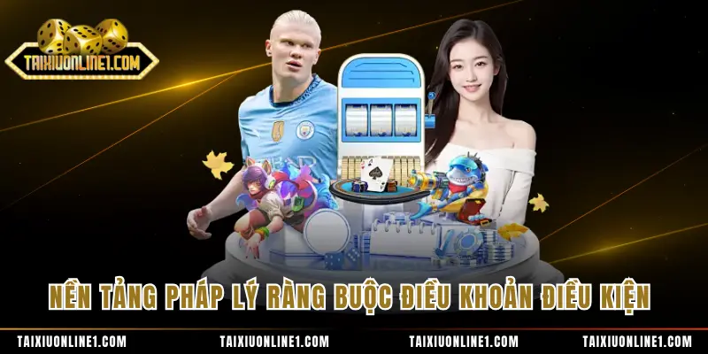 Điều Khoản Điều Kiện - Quy Định Sử Dụng Dịch Vụ Cần Nắm 1 Nền tảng pháp lý ràng buộc điều khoản điều kiện