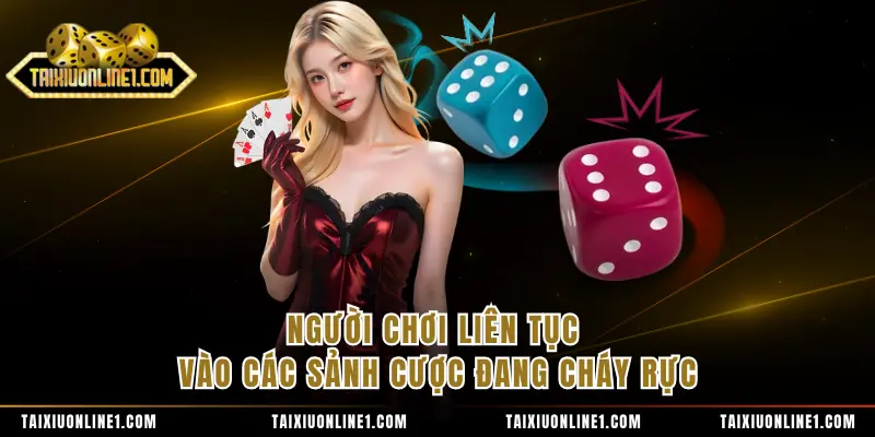 Người chơi liên tục vào các sảnh cược đang cháy rực